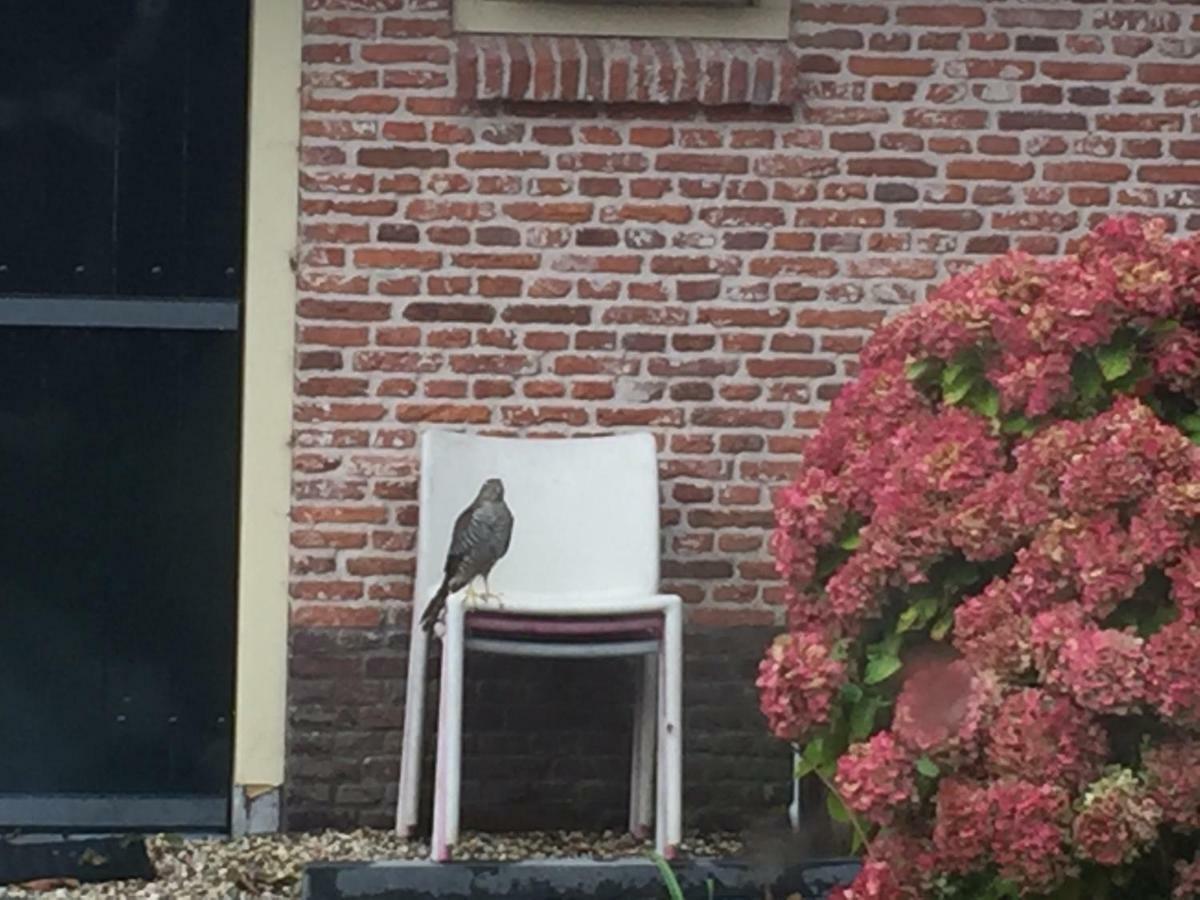 Groeten Uit Hoogmade - Rural Cottage Exterior foto